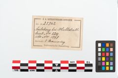 Etikett zu Bronzearmreif (NHMW-PRAE-025342)